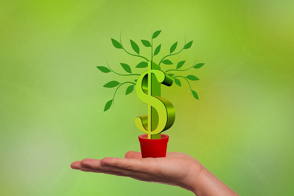 planting money illustration